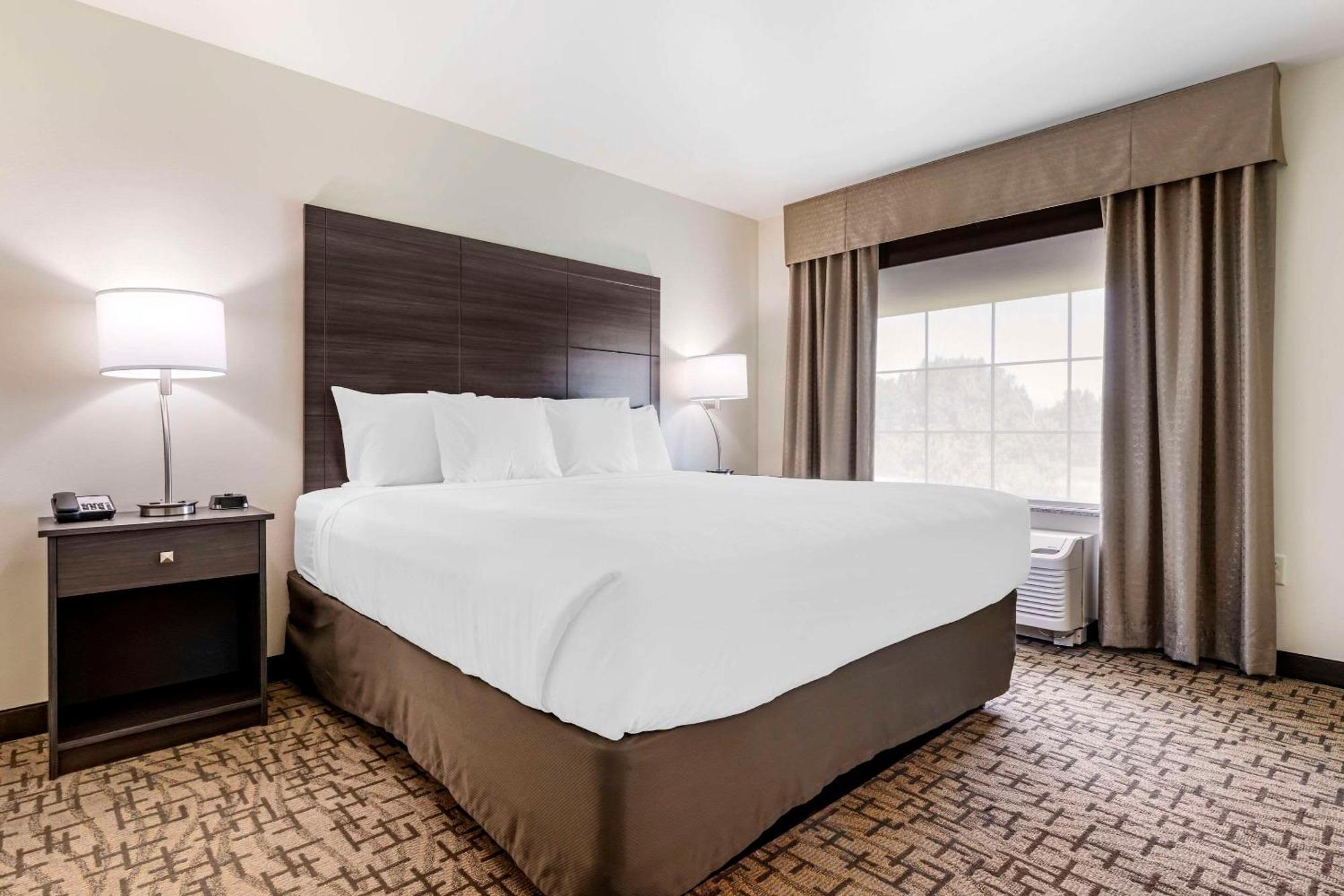 Comfort Inn & Suites Medina المظهر الخارجي الصورة