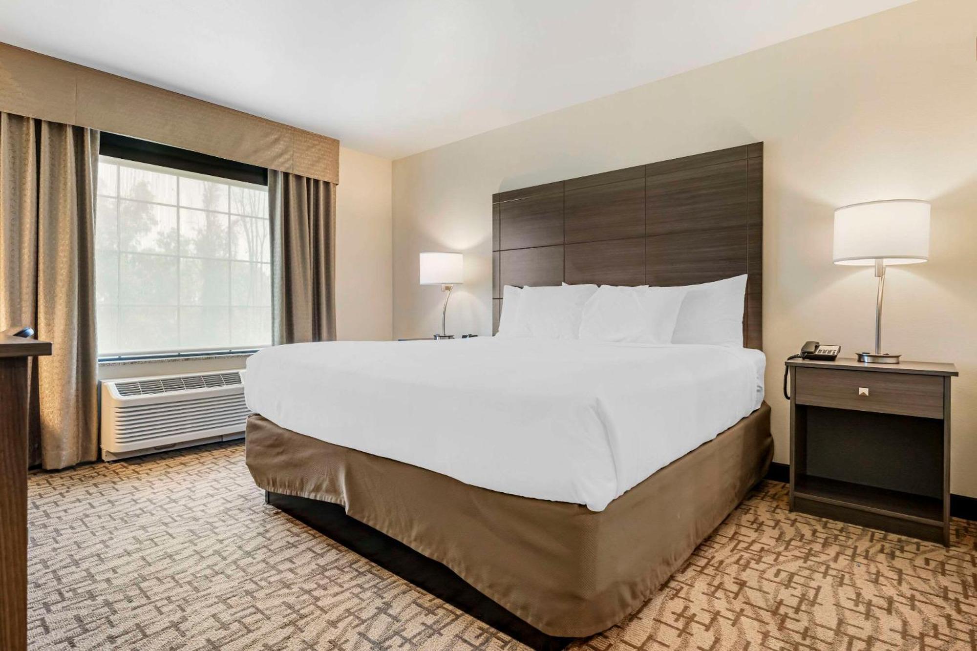 Comfort Inn & Suites Medina المظهر الخارجي الصورة