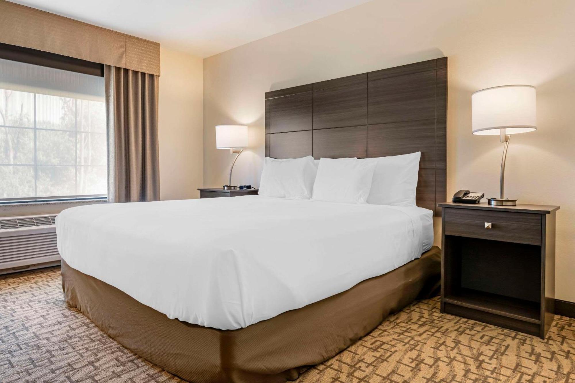 Comfort Inn & Suites Medina المظهر الخارجي الصورة